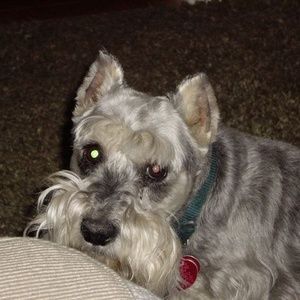 Meet your Posher, Debbie